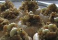 Gevulde champignons